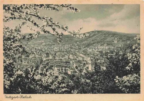 AK / Ansichtskarte Heslach STUTTGART BW Panorama Baumbluete Kupfertiefdruck