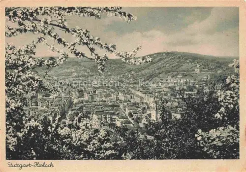 AK / Ansichtskarte Heslach STUTTGART BW Panorama Baumbluete Kupfertiefdruck