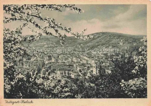 AK / Ansichtskarte Heslach STUTTGART BW Panorama Baumbluete Kupfertiefdruck