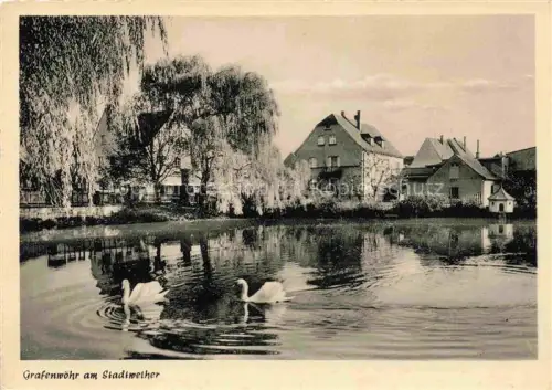 AK / Ansichtskarte Grafenwoehr Stadtweiher Schwaene