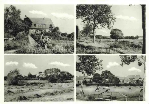 AK / Ansichtskarte Nienstedt Bassum SYKE Diepholz Niedersachsen Meyerhof Landschaftspanorama Viehweide