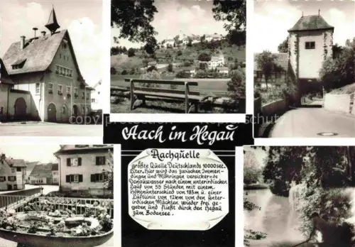 AK / Ansichtskarte Aach  Hegau Aachquelle 