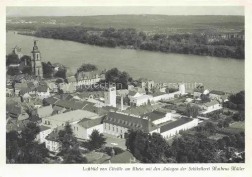 AK / Ansichtskarte Eltville Rhein Sektkellerei Matbeus Mueller 