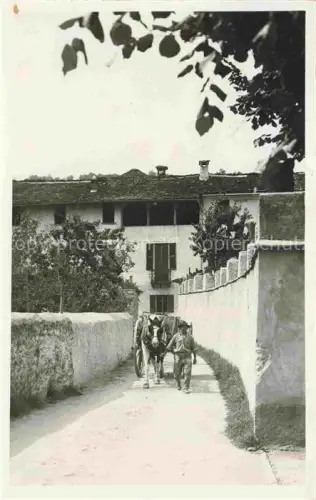 AK / Ansichtskarte Ascona Lago Maggiore TI Bauerngehoeft Pferdewagen