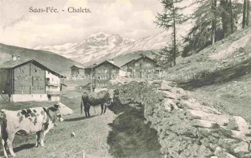AK / Ansichtskarte Saas-Fee VISP VS Chalets