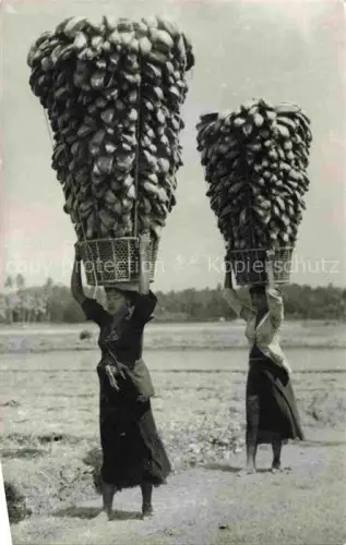 AK / Ansichtskarte Bali  Indonesia Frauen transportieren grosse Mengen an Fruechten auf dem Kopf