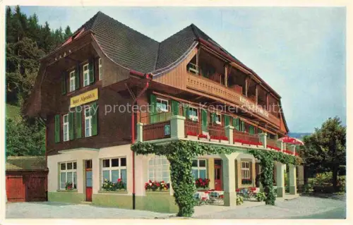 AK / Ansichtskarte Schwendi Thun BE Hotel Alpenblick