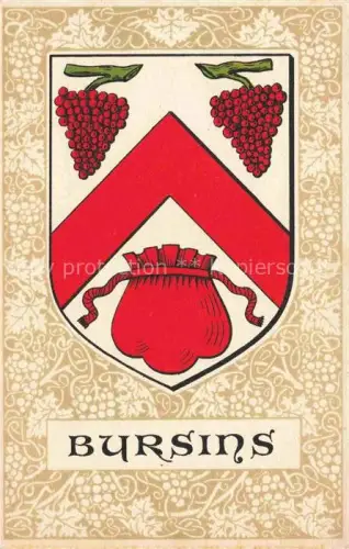 AK / Ansichtskarte Bursins Rolle VD Wappen