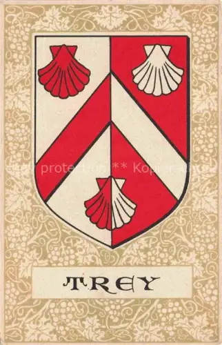 AK / Ansichtskarte Trey Payerne VD Wappen