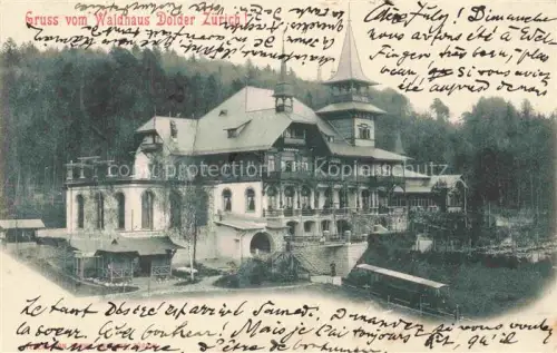 AK / Ansichtskarte ZueRICH  ZH Waldhaus Dolder
