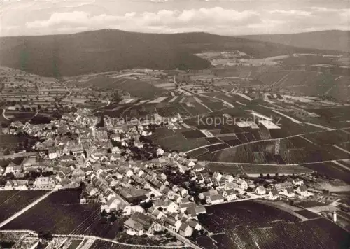 AK / Ansichtskarte Hallgarten Rheingau Oestrich-Winkel Hessen Fliegeraufnahme