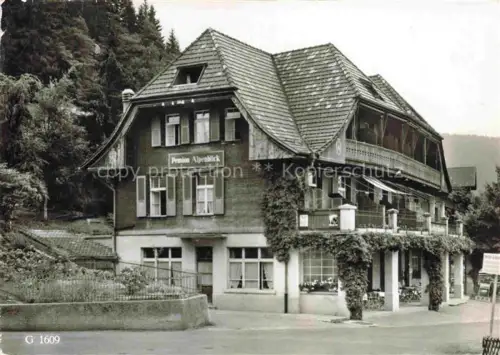 AK / Ansichtskarte Schwendi Thun BE Hotel Pension Alpenblick