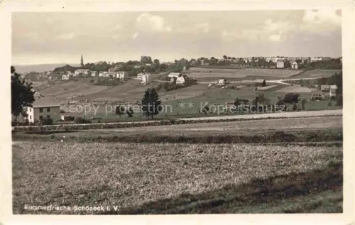 AK / Ansichtskarte Schoeneck Vogtland Panorama