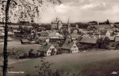 AK / Ansichtskarte Falkenberg Oberpfalz Tirschenreuth Bayern Panorama