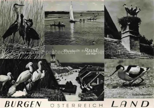 AK / Ansichtskarte Rust am See Neusiedlersee Burgenland AT Burgen oesterreich Land 