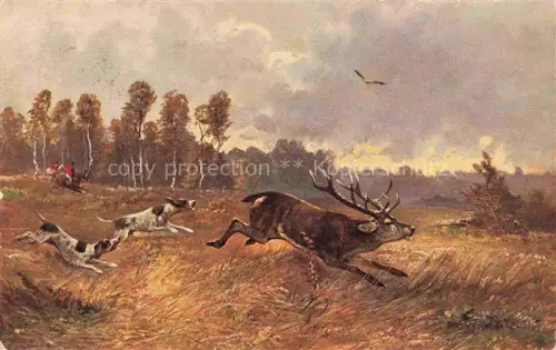 AK / Ansichtskarte Jagd Chasse Hunting-- Hirsch Hunde