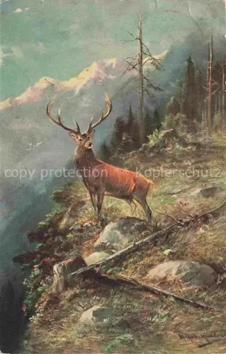 AK / Ansichtskarte Verlag AHF Hans Friedrich Abshagen Nr. 870 Hirsch zur Festzeit