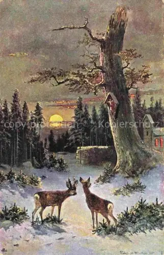 AK / Ansichtskarte MueLLER junior Kuenstlerkarte Muenchen Rehe