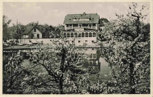 AK / Ansichtskarte Luehe Gruenendeich Altenland Stade Niedersachsen Hotel Restaurant zur Elbschlucht Baumbluete Kirschenland