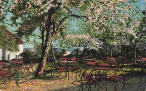 AK / Ansichtskarte MULHOUSE Muehlhausen 68 Haut-Rhin Ev. Vereinsgarten Festplatz im Mai Baumbluete Tucks Postkarte Spezialanfertigung Asphalt