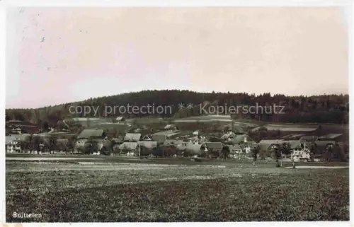 AK / Ansichtskarte Bruettelen Erlach BE Panorama