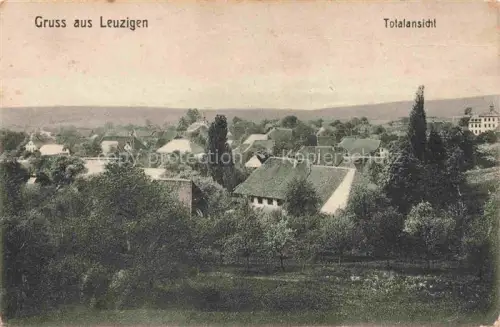 AK / Ansichtskarte Leuzigen Bueren BE Totalansicht