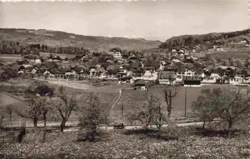 AK / Ansichtskarte Seftigen BE Panorama