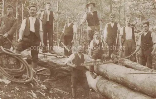 AK / Ansichtskarte Schapbach BAD RIPPOLDSAU-SCHAPBACH BW Holzhauer