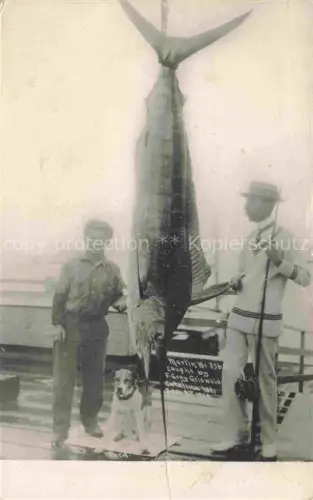 AK / Ansichtskarte Catalina Island California USA Praemierte Fischer mit Schwertfisch