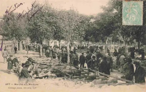 AK / Ansichtskarte Apt 84 Vaucluse Marche aux Moutons