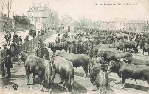 AK / Ansichtskarte LIMOGES 87 Haute-Vienne Un Champ de Foire en Limousin