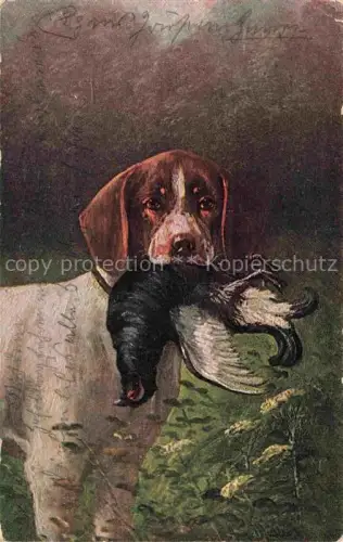 AK / Ansichtskarte Jagd Chasse Hunting-- Hund Vogel