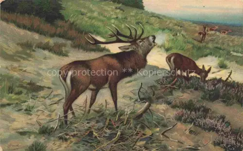 AK / Ansichtskarte VERLAG STENGEL Nr. 47004 Herausforderung C. Drathmann