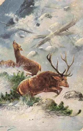 AK / Ansichtskarte MueLLER junior Kuenstlerkarte Muenchen Hirsch 