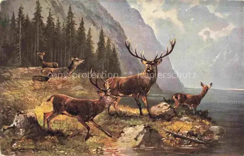 AK / Ansichtskarte MueLLER junior Kuenstlerkarte Muenchen Hirsch 