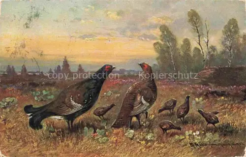 AK / Ansichtskarte MueLLER junior Kuenstlerkarte Muenchen Vogel