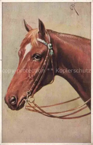 AK / Ansichtskarte PFERDE Horses Cheval Portraet Braun 