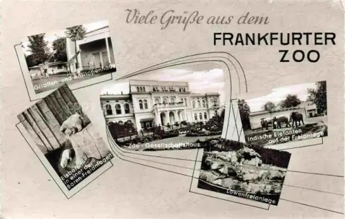 AK / Ansichtskarte Zoo Gardin Zoologique-- Frankfurt Gesellschaftshaus Elefanten Eisbaer Loewenfreianlage