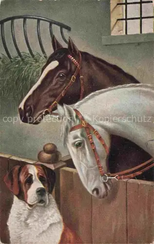 AK / Ansichtskarte PFERDE Horses Cheval Hund T.S.N. Serie 842