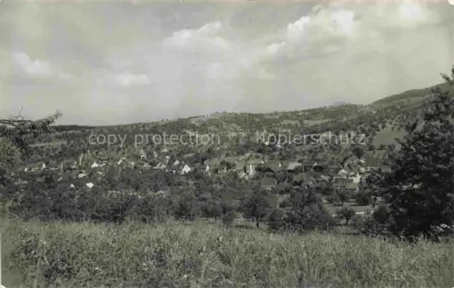 AK / Ansichtskarte Arisdorf Liestal BL Panorama
