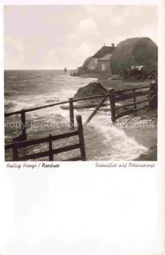 AK / Ansichtskarte Hallig Hooge Sturmflut auf Ockenswarft