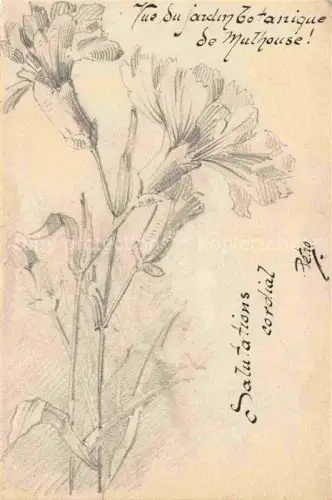 AK / Ansichtskarte MULHOUSE Muehlhausen 68 Haut-Rhin Jardin Botanique Dessin Kuenstlerkarte