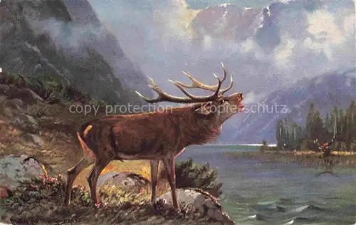 AK / Ansichtskarte Hirsch Stag Deer Cerf Ciervo-- Jagd