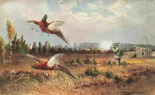 AK / Ansichtskarte Auerhahn  Grouse-- Jagd 