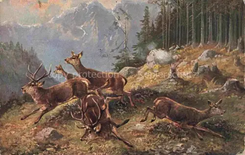 AK / Ansichtskarte Jagd Chasse Hunting-- Rehe Hirsch
