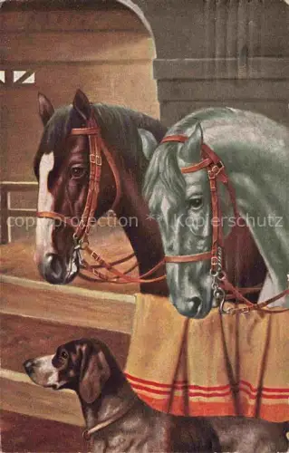 AK / Ansichtskarte PFERDE Horses Cheval Hund