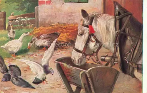 AK / Ansichtskarte PFERDE Horses Cheval Tauben Gans 