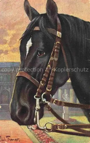 AK / Ansichtskarte Verlag Primus Nr. 353 Rassepferde 