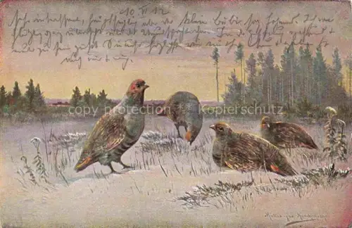 AK / Ansichtskarte MueLLER junior Kuenstlerkarte Muenchen Nr. 1512 Federwield 