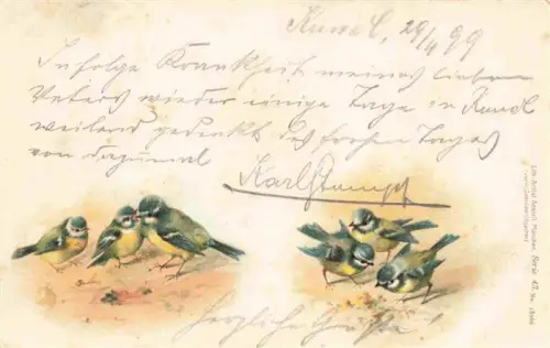 AK / Ansichtskarte VoeGEL Birds Oiseaux Uccelli Pajaros-- Spatz Litho